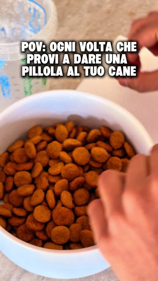 TikTok video thumbnail by aspassocondiesel