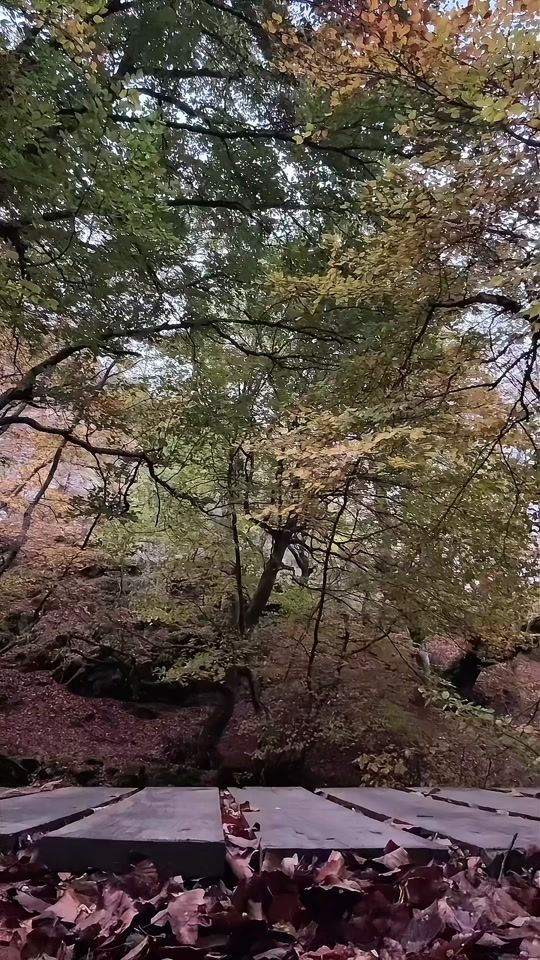 TikTok video thumbnail by jdas._l