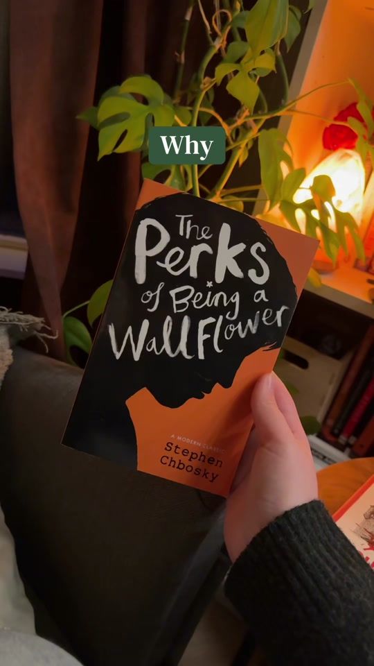 TikTok video thumbnail by allthelittlestuff