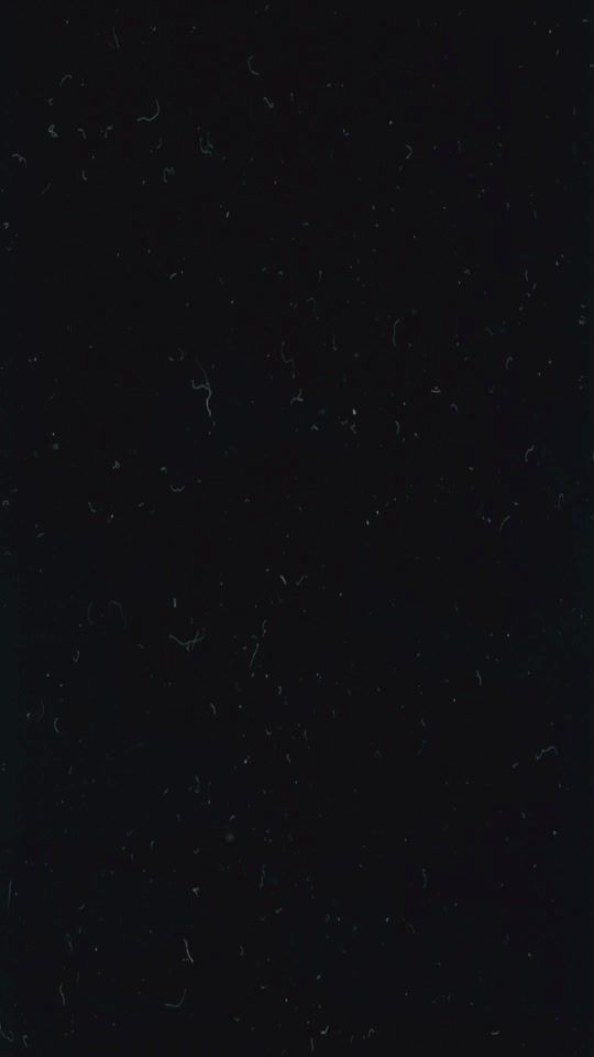 TikTok video thumbnail by ibrahimcano