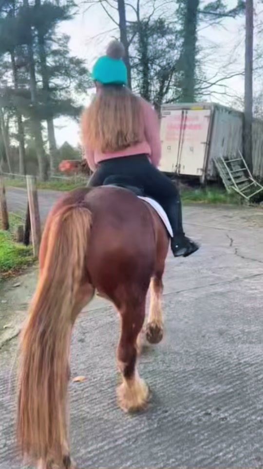 TikTok video thumbnail by meandginger1