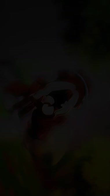 TikTok video thumbnail by afrivfx