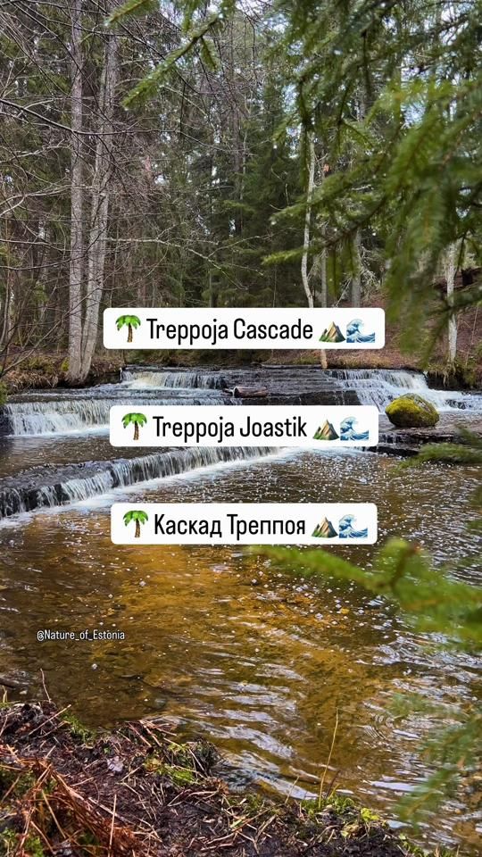TikTok video thumbnail by nature_of_estonia