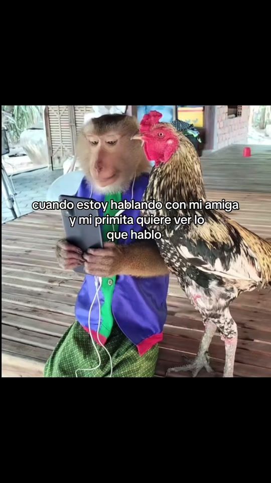TikTok video thumbnail by sonidos.potaxies