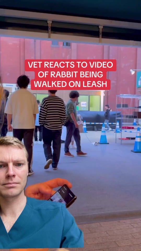 TikTok video thumbnail by ben.the.vet