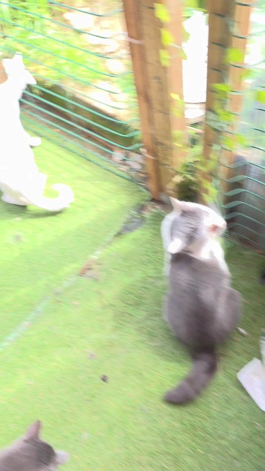 TikTok video thumbnail by clochette.andcie