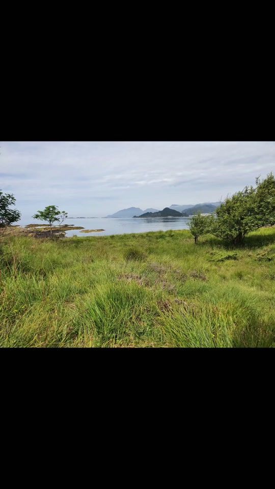 TikTok video thumbnail by susanne.3s