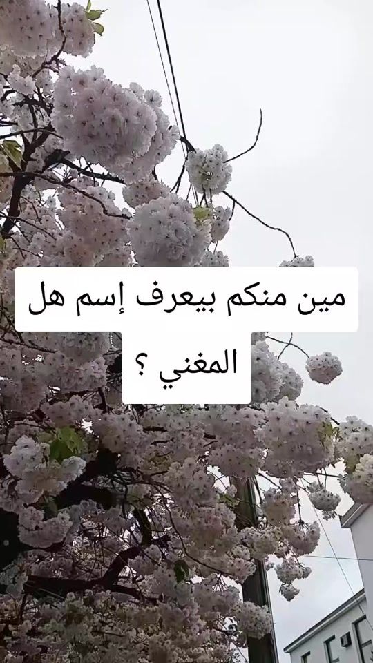 TikTok video thumbnail by ruharm123