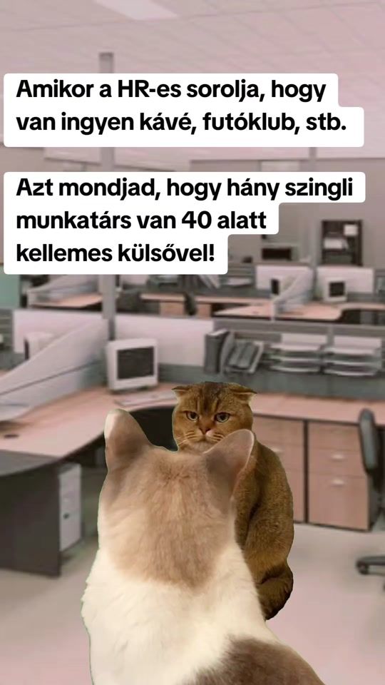 TikTok video thumbnail by vicapictures