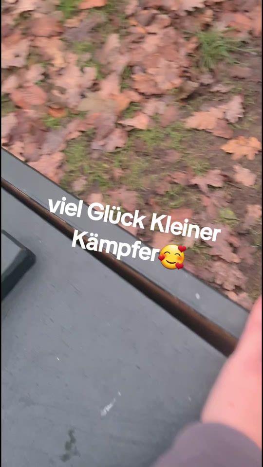 TikTok video thumbnail by flottelotte2020