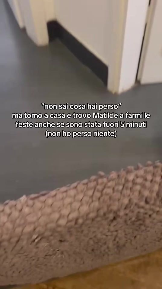 TikTok video thumbnail by matildelabassotta