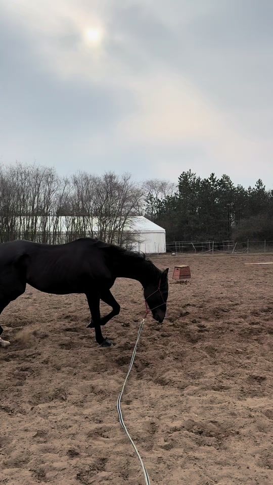 TikTok video thumbnail by dominika.bozso