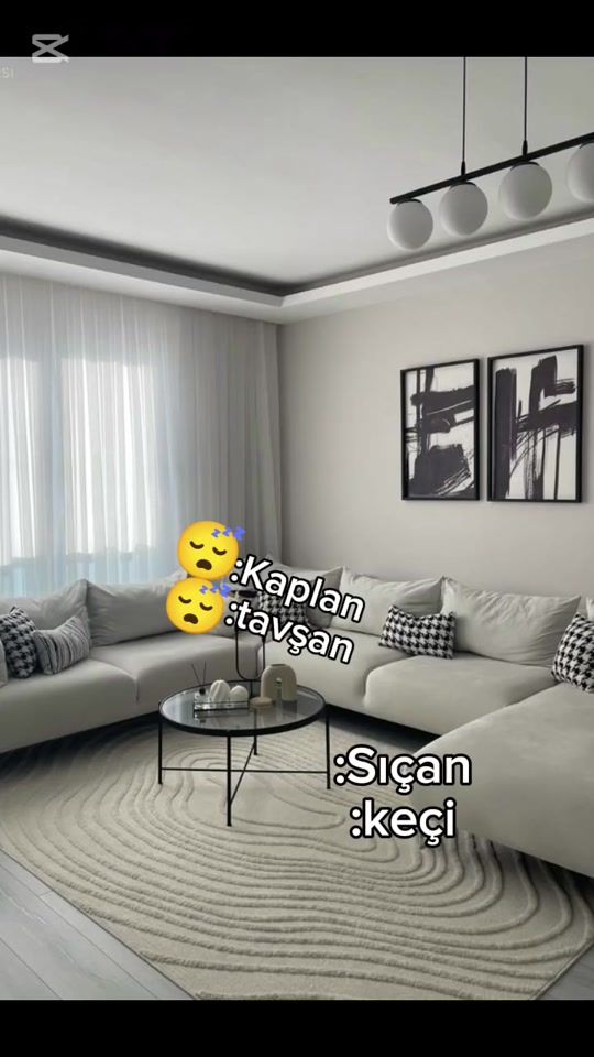 TikTok video thumbnail by oglakqueen