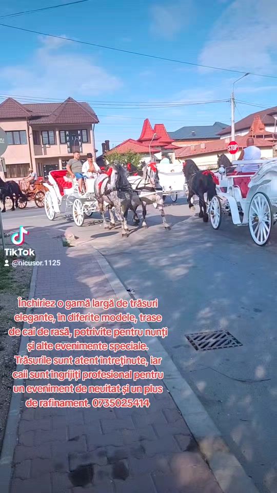 TikTok video thumbnail by nicusor.1125
