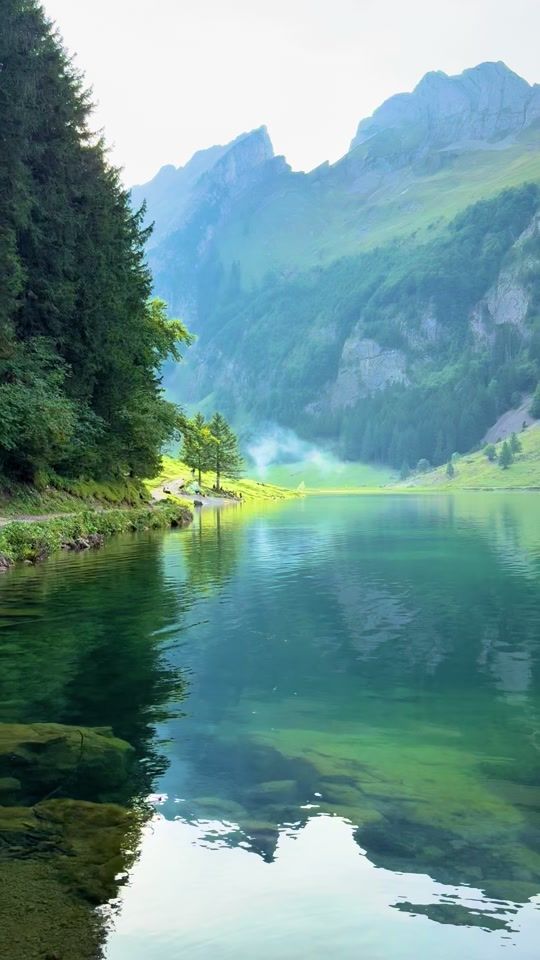 TikTok video thumbnail by javi.darnaude