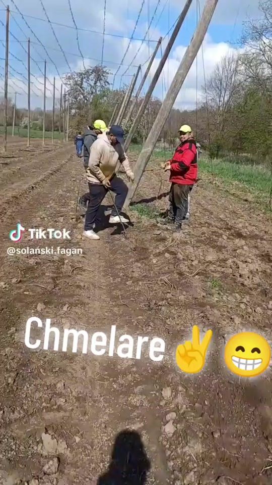 TikTok video thumbnail by d.o.m.c.o4