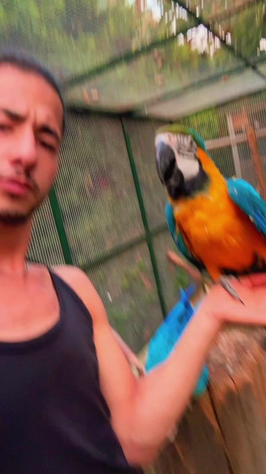 TikTok video thumbnail by musa_38__