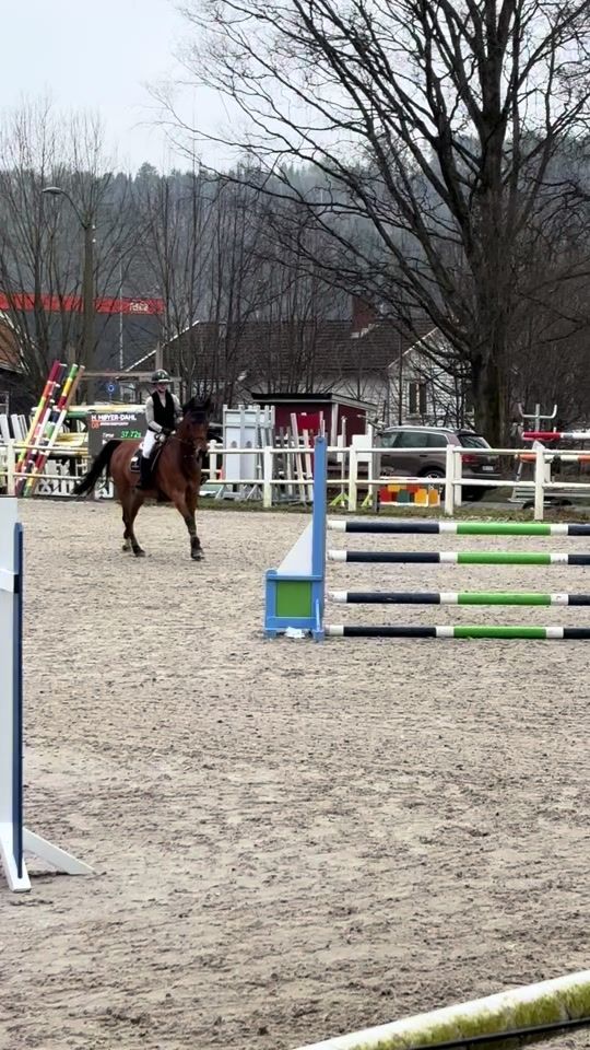 TikTok video thumbnail by hedda.equi