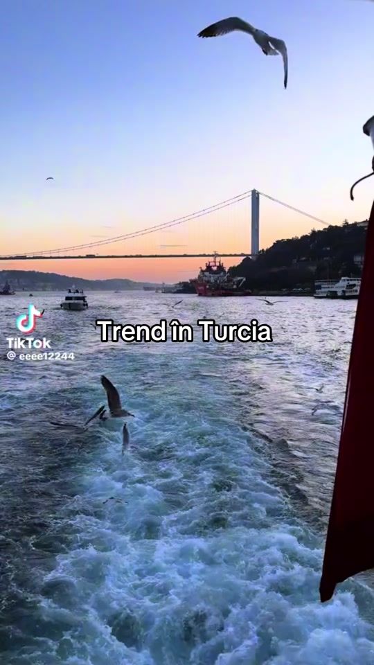 TikTok video thumbnail by jojo.seme23