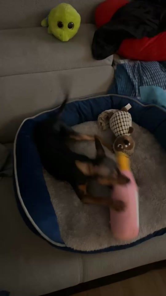 TikTok video thumbnail by celinee.moniquee