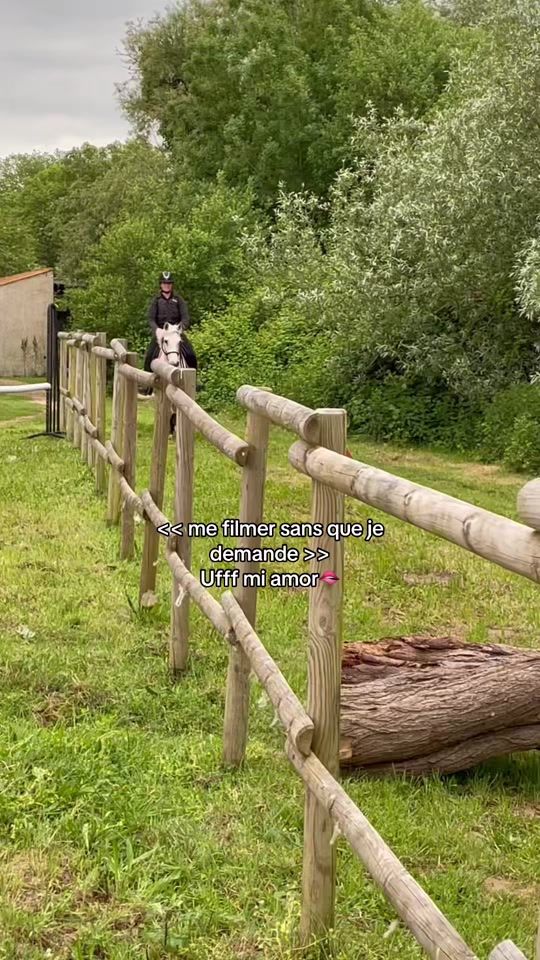 TikTok video thumbnail by horse.12.3