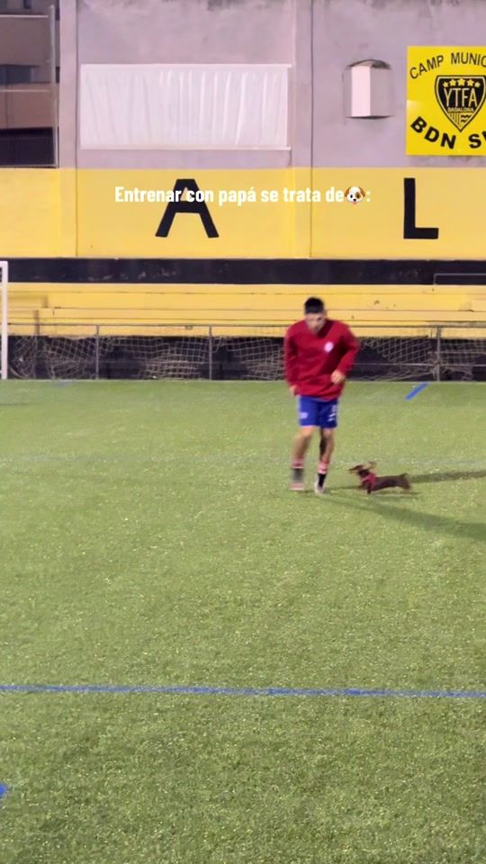 TikTok video thumbnail by ross_crod