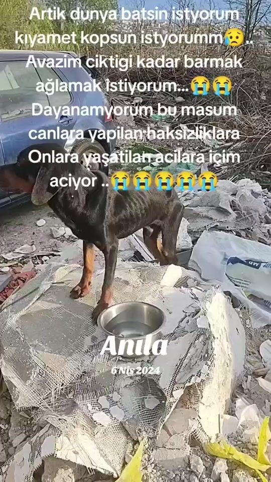 TikTok video thumbnail by sta4ka76