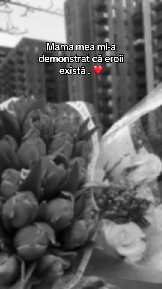 TikTok video thumbnail by gabriela.66gbr