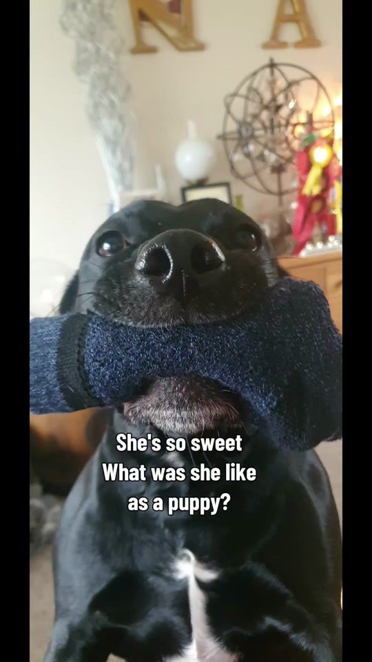 TikTok video thumbnail by katiescott339