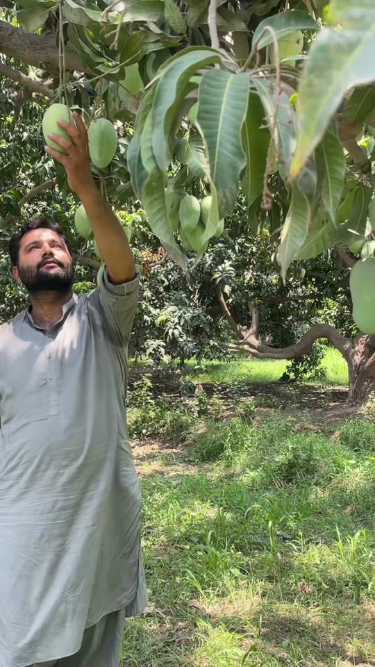 TikTok video thumbnail by fruitmandiofficials