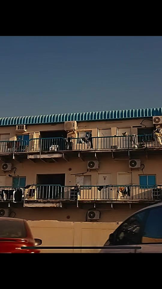 TikTok video thumbnail by goats_at_work