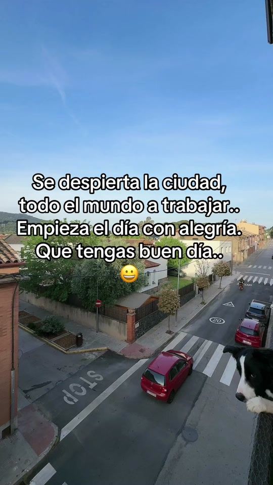TikTok video thumbnail by waltervilar