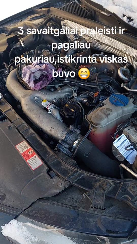 TikTok video thumbnail by marijusgus