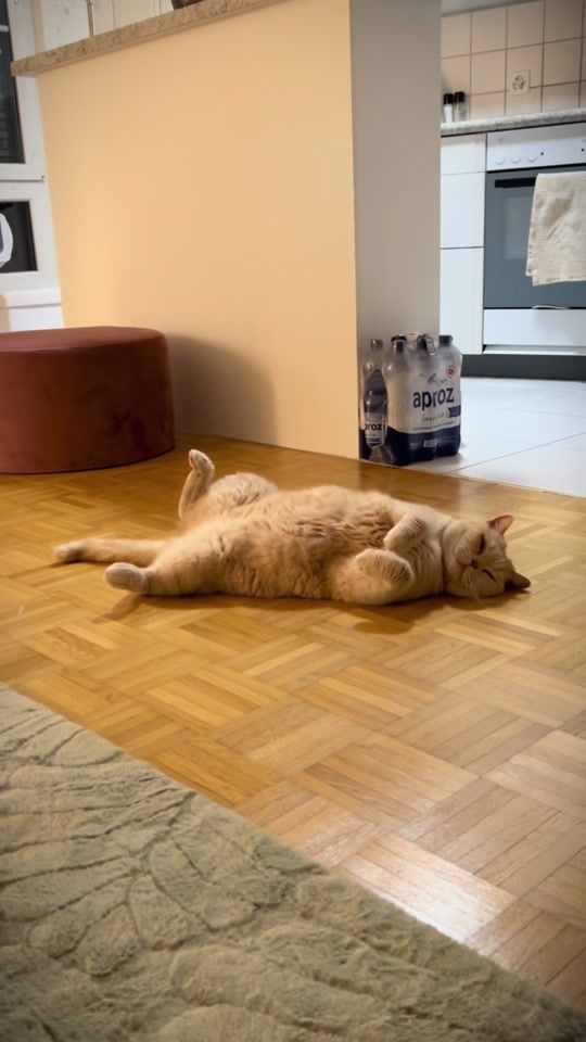 TikTok video thumbnail by _ontheway_