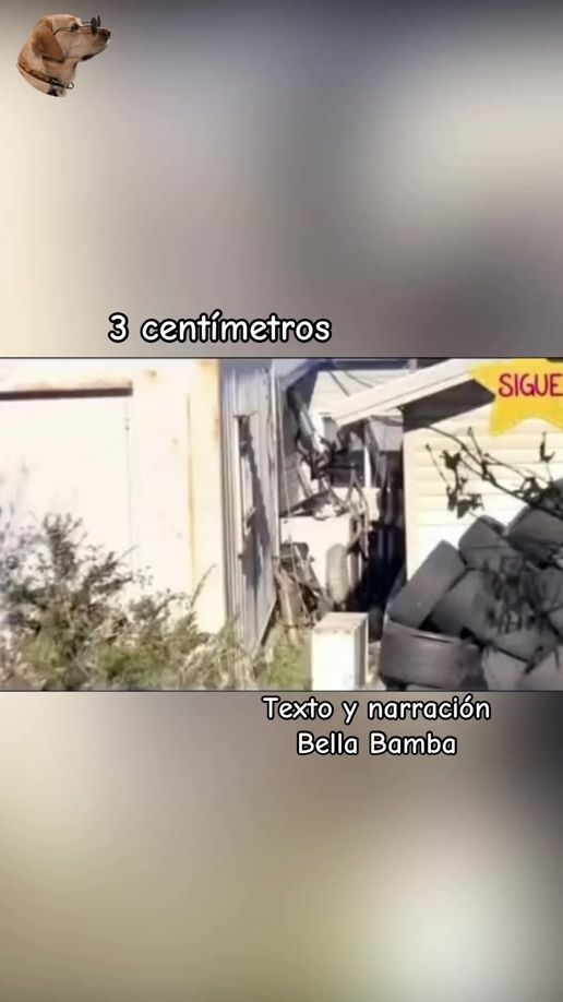 TikTok video thumbnail by bella_bamba