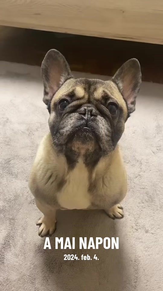 TikTok video thumbnail by mezofizsofia