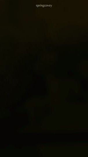 TikTok video thumbnail by springcovey