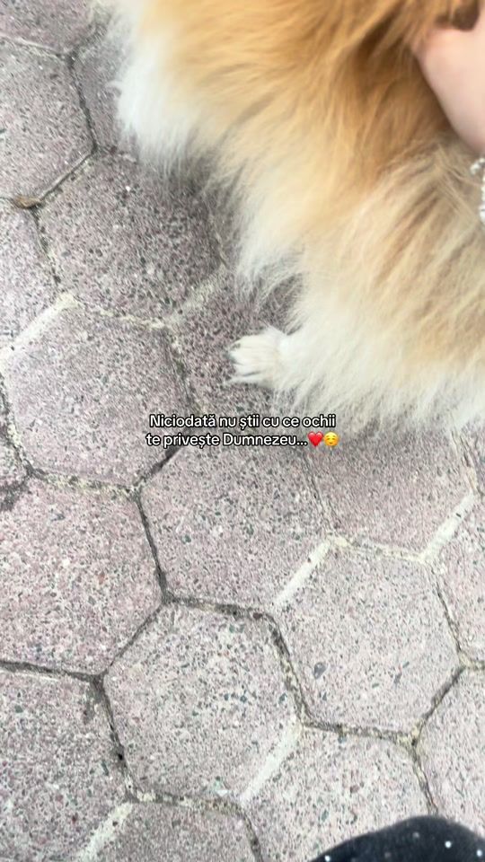 TikTok video thumbnail by nikol_nikol_r