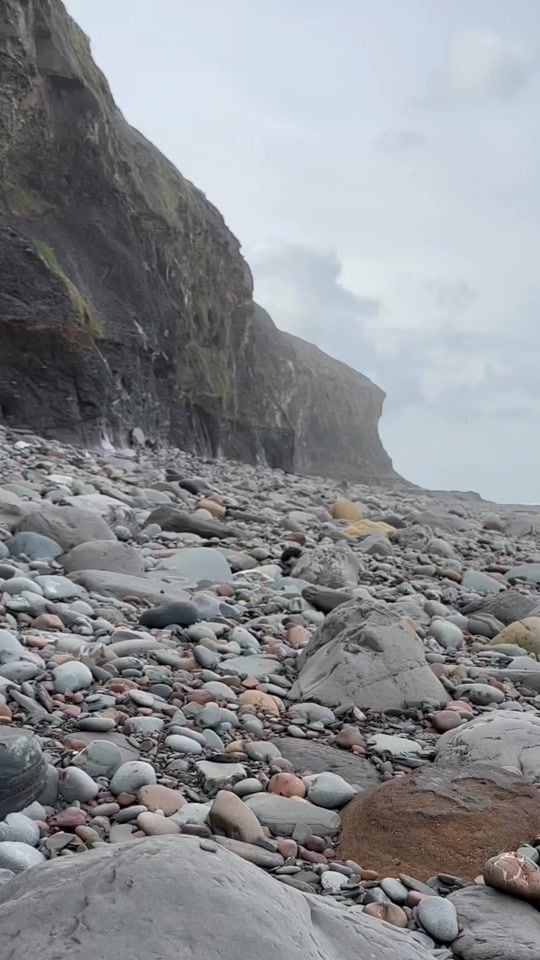 TikTok video thumbnail by yorkshire.fossils