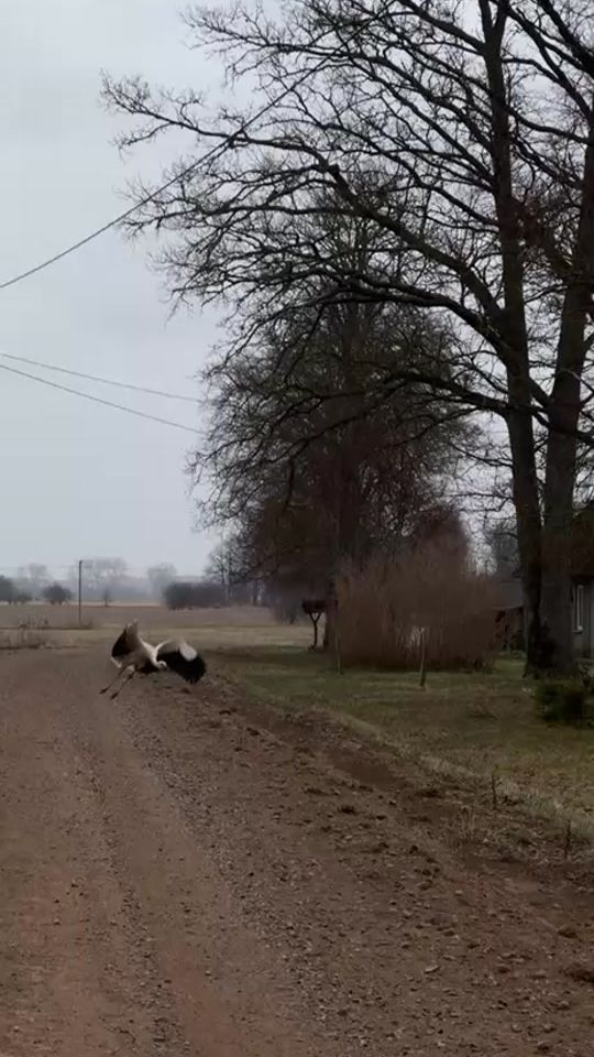 TikTok video thumbnail by sunzeroday