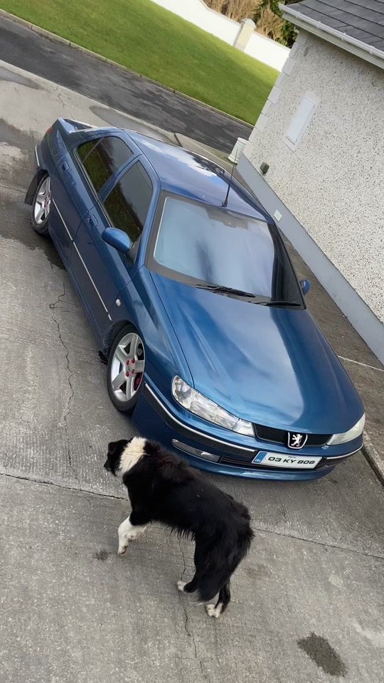 TikTok video thumbnail by diarmuidhealy