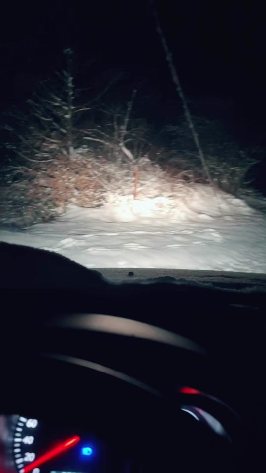 TikTok video thumbnail by cekoff.backup