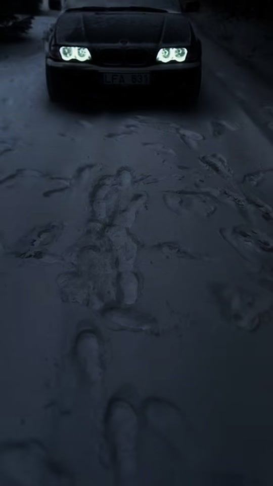 TikTok video thumbnail by g4b1t3