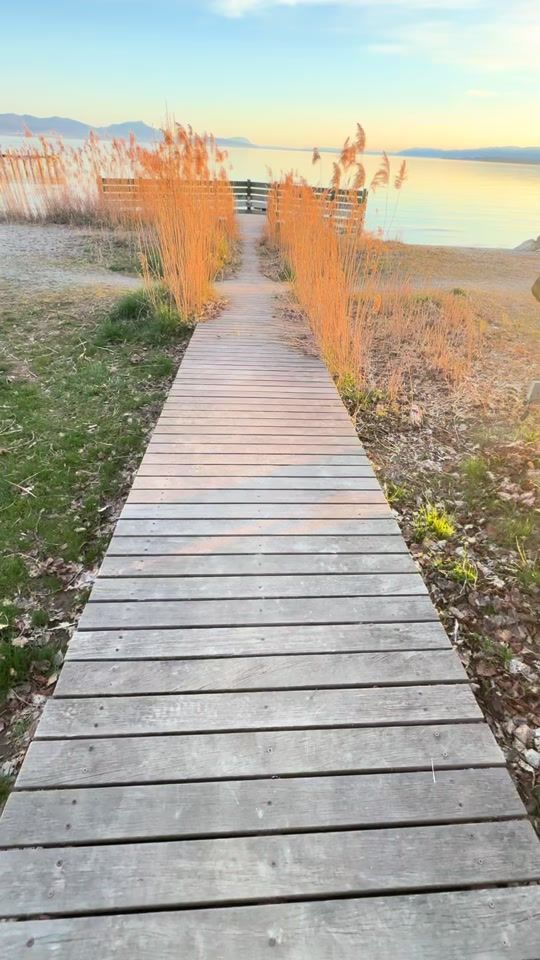 TikTok video thumbnail by passionate_explorer