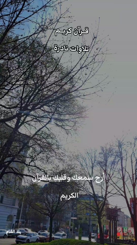 TikTok video thumbnail by shamnourha2000