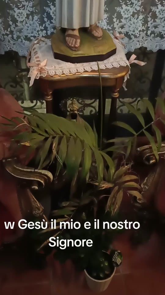 TikTok video thumbnail by luana19810