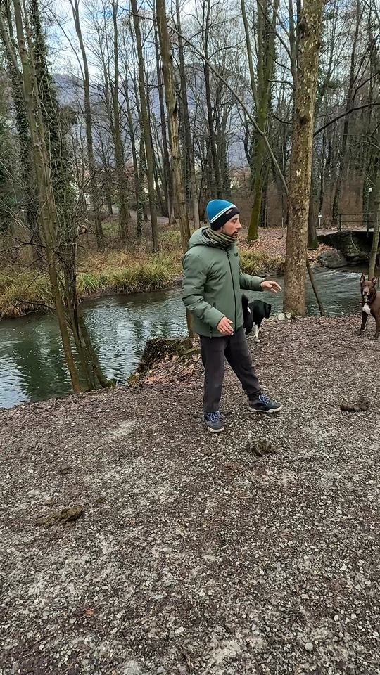 TikTok video thumbnail by masterdogacademy