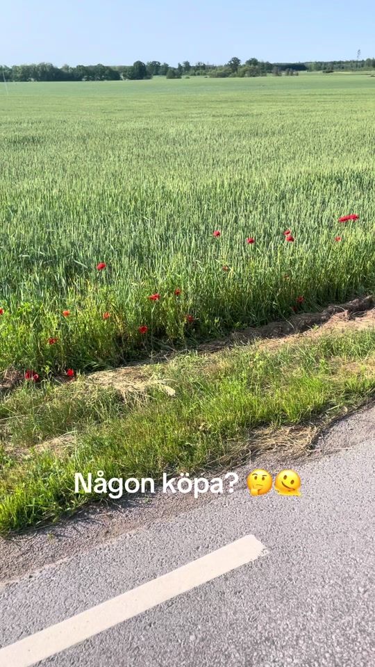 TikTok video thumbnail by arvidejdeholt