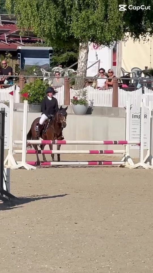 TikTok video thumbnail by equestrian.lilly16