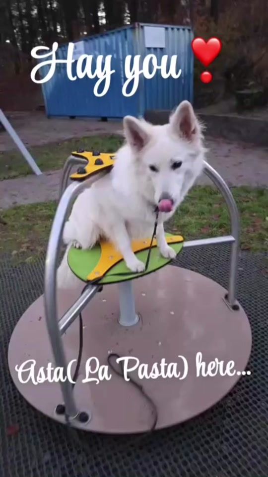 TikTok video thumbnail by luna.borghild1